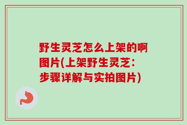 野生灵芝怎么上架的啊图片(上架野生灵芝:步骤详解与实拍图片)-第1张图片-卓越灵芝孢子粉 野生灵芝怎么上架的啊图片(上架野生灵芝:步骤详解与实拍图片)-第1张图片-卓越灵芝孢子粉
