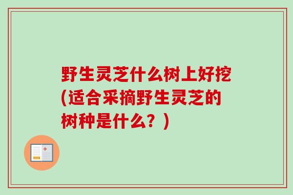 野生灵芝什么树上好挖(适合采摘野生灵芝的树种是什么？)-第1张图片-卓越灵芝孢子粉