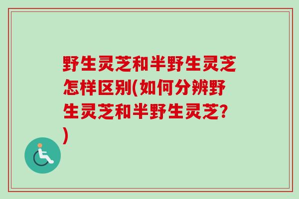 野生灵芝和半野生灵芝怎样区别(如何分辨野生灵芝和半野生灵芝？)-第1张图片-卓越灵芝孢子粉