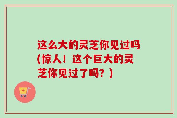 这么大的灵芝你见过吗(惊人!这个巨大的灵芝你见过了吗?)-第1张图片-卓越灵芝孢子粉 这么大的灵芝你见过吗(惊人!这个巨大的灵芝你见过了吗?)-第1张图片-卓越灵芝孢子粉