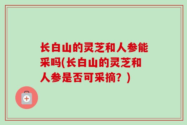 长白山的灵芝和人参能采吗(长白山的灵芝和人参是否可采摘?)-第1张图片-卓越灵芝孢子粉 长白山的灵芝和人参能采吗(长白山的灵芝和人参是否可采摘?)-第1张图片-卓越灵芝孢子粉