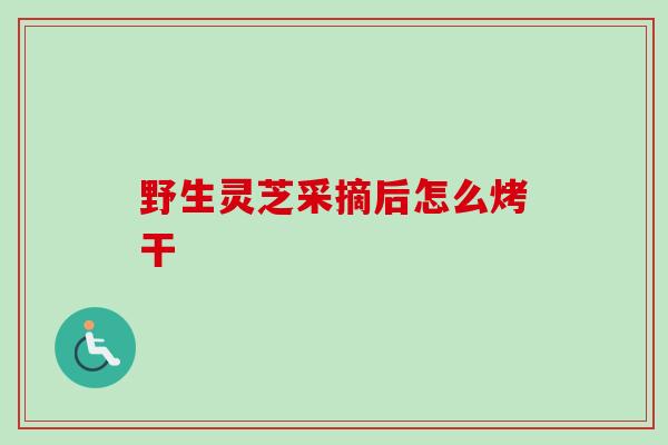 野生灵芝采摘后怎么烤干-第1张图片-卓越灵芝孢子粉 野生灵芝采摘后怎么烤干-第1张图片-卓越灵芝孢子粉