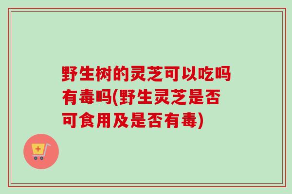 野生树的灵芝可以吃吗有毒吗(野生灵芝是否可食用及是否有毒)-第1张图片-卓越灵芝孢子粉 野生树的灵芝可以吃吗有毒吗(野生灵芝是否可食用及是否有毒)-第1张图片-卓越灵芝孢子粉