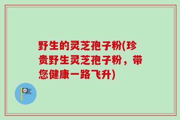 野生的灵芝孢子粉(珍贵野生灵芝孢子粉,带您健康一路飞升)-第1张图片-卓越灵芝孢子粉 野生的灵芝孢子粉(珍贵野生灵芝孢子粉,带您健康一路飞升)-第1张图片-卓越灵芝孢子粉