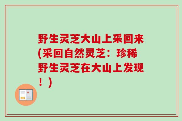 野生灵芝大山上采回来(采回自然灵芝:珍稀野生灵芝在大山上发现!)-第1张图片-卓越灵芝孢子粉 野生灵芝大山上采回来(采回自然灵芝:珍稀野生灵芝在大山上发现!)-第1张图片-卓越灵芝孢子粉