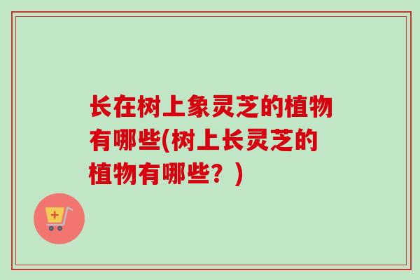 长在树上象灵芝的植物有哪些(树上长灵芝的植物有哪些?)-第1张图片-卓越灵芝孢子粉 长在树上象灵芝的植物有哪些(树上长灵芝的植物有哪些?)-第1张图片-卓越灵芝孢子粉