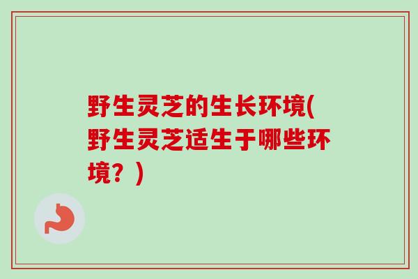 野生灵芝的生长环境(野生灵芝适生于哪些环境?)-第1张图片-卓越灵芝孢子粉 野生灵芝的生长环境(野生灵芝适生于哪些环境?)-第1张图片-卓越灵芝孢子粉