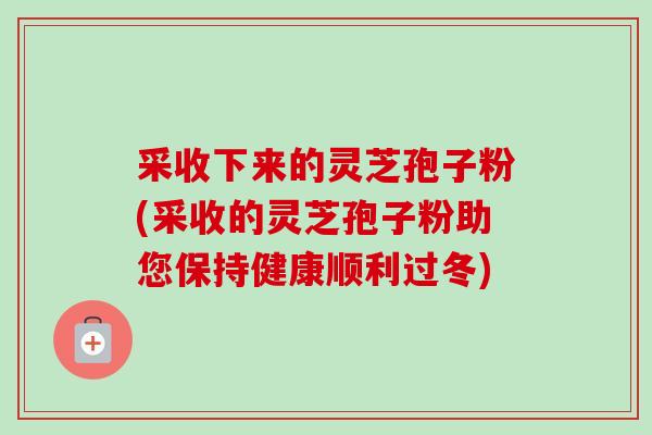 采收下来的灵芝孢子粉(采收的灵芝孢子粉助您保持健康顺利过冬)-第1张图片-卓越灵芝孢子粉 采收下来的灵芝孢子粉(采收的灵芝孢子粉助您保持健康顺利过冬)-第1张图片-卓越灵芝孢子粉