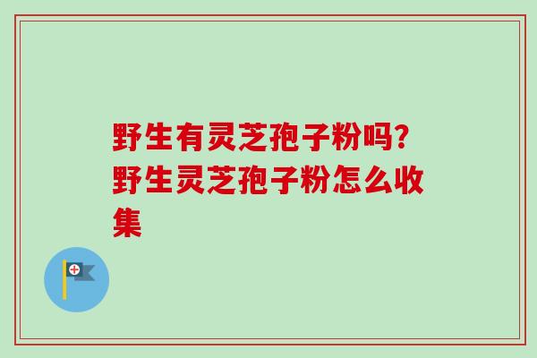 野生有灵芝孢子粉吗?野生灵芝孢子粉怎么收集-第1张图片-卓越灵芝孢子粉 野生有灵芝孢子粉吗?野生灵芝孢子粉怎么收集-第1张图片-卓越灵芝孢子粉