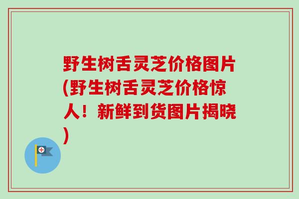 野生树舌灵芝价格图片(野生树舌灵芝价格惊人!新鲜到货图片揭晓)-第1张图片-卓越灵芝孢子粉 野生树舌灵芝价格图片(野生树舌灵芝价格惊人!新鲜到货图片揭晓)-第1张图片-卓越灵芝孢子粉
