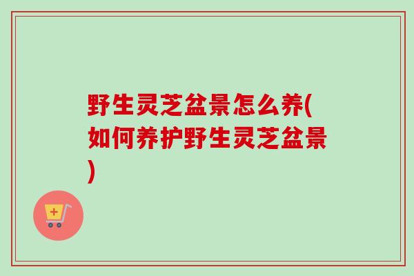 野生灵芝盆景怎么养(如何养护野生灵芝盆景)-第1张图片-卓越灵芝孢子粉 野生灵芝盆景怎么养(如何养护野生灵芝盆景)-第1张图片-卓越灵芝孢子粉