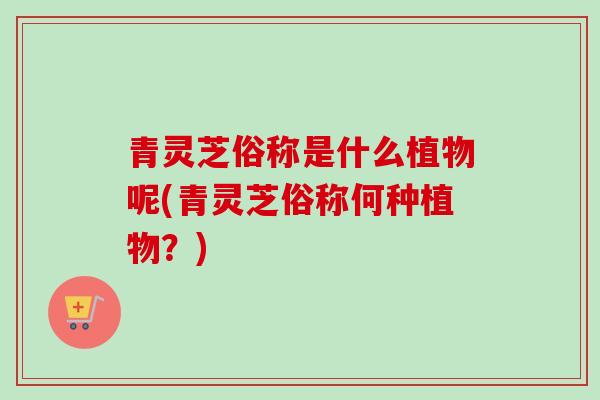 青灵芝俗称是什么植物呢(青灵芝俗称何种植物?)-第1张图片-卓越灵芝孢子粉 青灵芝俗称是什么植物呢(青灵芝俗称何种植物?)-第1张图片-卓越灵芝孢子粉