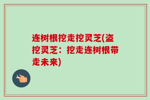 连树根挖走挖灵芝(盗挖灵芝:挖走连树根带走未来)-第1张图片-卓越灵芝孢子粉 连树根挖走挖灵芝(盗挖灵芝:挖走连树根带走未来)-第1张图片-卓越灵芝孢子粉