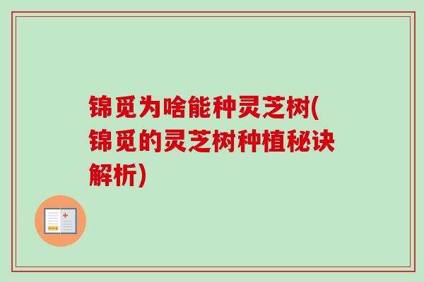 锦觅为啥能种灵芝树(锦觅的灵芝树种植秘诀解析)-第1张图片-卓越灵芝孢子粉