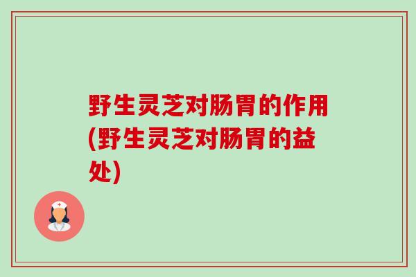 野生灵芝对肠胃的作用(野生灵芝对肠胃的益处)-第1张图片-卓越灵芝孢子粉 野生灵芝对肠胃的作用(野生灵芝对肠胃的益处)-第1张图片-卓越灵芝孢子粉