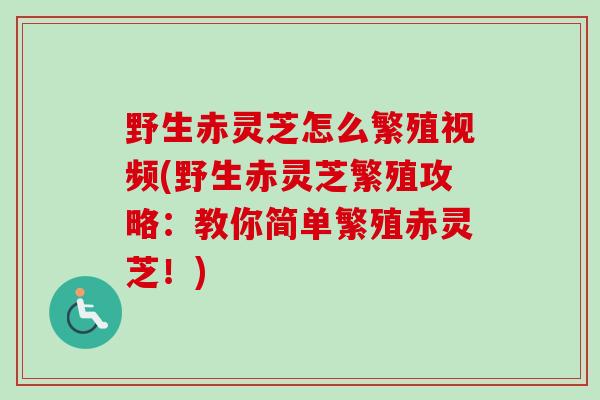 野生赤灵芝怎么繁殖视频(野生赤灵芝繁殖攻略:教你简单繁殖赤灵芝!)-第1张图片-卓越灵芝孢子粉 野生赤灵芝怎么繁殖视频(野生赤灵芝繁殖攻略:教你简单繁殖赤灵芝!)-第1张图片-卓越灵芝孢子粉
