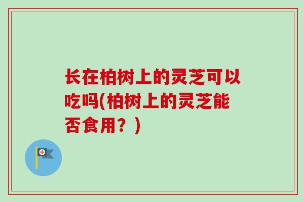 长在柏树上的灵芝可以吃吗(柏树上的灵芝能否食用?)-第1张图片-卓越灵芝孢子粉 长在柏树上的灵芝可以吃吗(柏树上的灵芝能否食用?)-第1张图片-卓越灵芝孢子粉