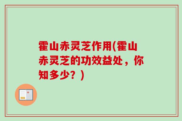 霍山赤灵芝作用(霍山赤灵芝的功效益处,你知多少?)-第1张图片-卓越灵芝孢子粉 霍山赤灵芝作用(霍山赤灵芝的功效益处,你知多少?)-第1张图片-卓越灵芝孢子粉