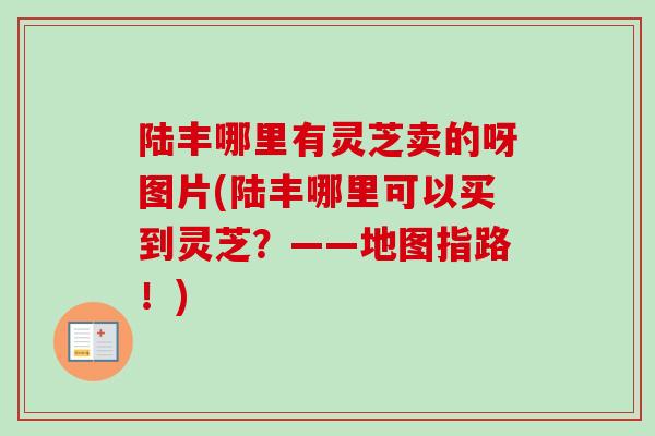 陆丰哪里有灵芝卖的呀图片(陆丰哪里可以买到灵芝？——地图指路！)-第1张图片-卓越灵芝孢子粉