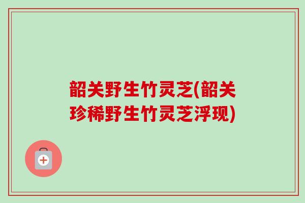 韶关野生竹灵芝(韶关珍稀野生竹灵芝浮现)-第1张图片-卓越灵芝孢子粉 韶关野生竹灵芝(韶关珍稀野生竹灵芝浮现)-第1张图片-卓越灵芝孢子粉