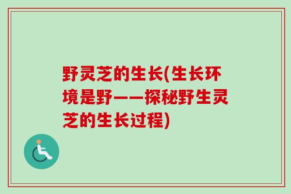 野灵芝的生长(生长环境是野——探秘野生灵芝的生长过程)-第1张图片-卓越灵芝孢子粉 野灵芝的生长(生长环境是野——探秘野生灵芝的生长过程)-第1张图片-卓越灵芝孢子粉