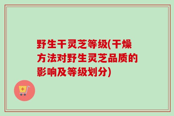 野生干灵芝等级(干燥方法对野生灵芝品质的影响及等级划分)-第1张图片-卓越灵芝孢子粉 野生干灵芝等级(干燥方法对野生灵芝品质的影响及等级划分)-第1张图片-卓越灵芝孢子粉