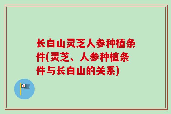 长白山灵芝人参种植条件(灵芝、人参种植条件与长白山的关系)-第1张图片-卓越灵芝孢子粉 长白山灵芝人参种植条件(灵芝、人参种植条件与长白山的关系)-第1张图片-卓越灵芝孢子粉