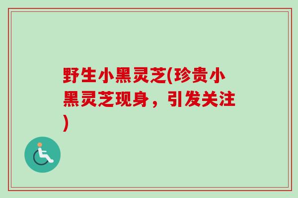 野生小黑灵芝(珍贵小黑灵芝现身，引发关注)-第1张图片-卓越灵芝孢子粉