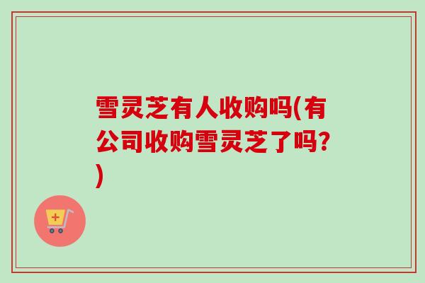 雪灵芝有人收购吗(有公司收购雪灵芝了吗？)-第1张图片-卓越灵芝孢子粉