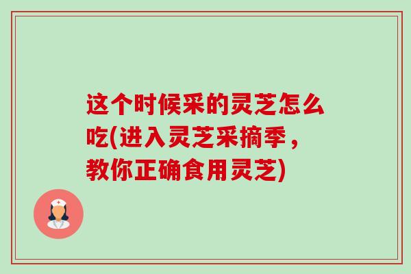 这个时候采的灵芝怎么吃(进入灵芝采摘季,教你正确食用灵芝)-第1张图片-卓越灵芝孢子粉 这个时候采的灵芝怎么吃(进入灵芝采摘季,教你正确食用灵芝)-第1张图片-卓越灵芝孢子粉