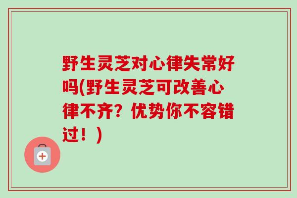 野生灵芝对心律失常好吗(野生灵芝可改善心律不齐?优势你不容错过!)-第1张图片-卓越灵芝孢子粉 野生灵芝对心律失常好吗(野生灵芝可改善心律不齐?优势你不容错过!)-第1张图片-卓越灵芝孢子粉