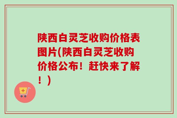 陕西白灵芝收购价格表图片(陕西白灵芝收购价格公布!赶快来了解!)-第1张图片-卓越灵芝孢子粉 陕西白灵芝收购价格表图片(陕西白灵芝收购价格公布!赶快来了解!)-第1张图片-卓越灵芝孢子粉