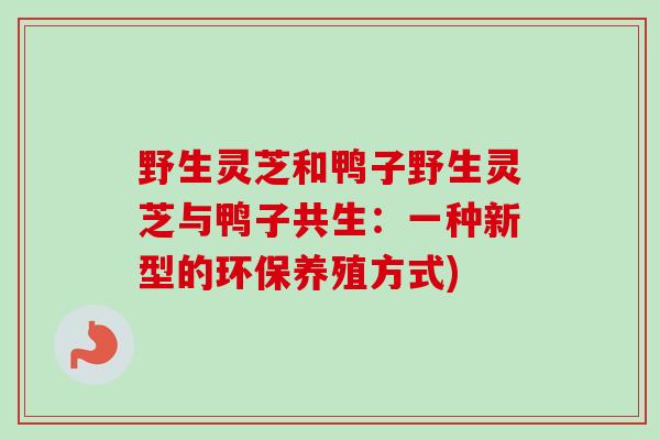 野生灵芝和鸭子野生灵芝与鸭子共生:一种新型的环保养殖方式)-第1张图片-卓越灵芝孢子粉 野生灵芝和鸭子野生灵芝与鸭子共生:一种新型的环保养殖方式)-第1张图片-卓越灵芝孢子粉