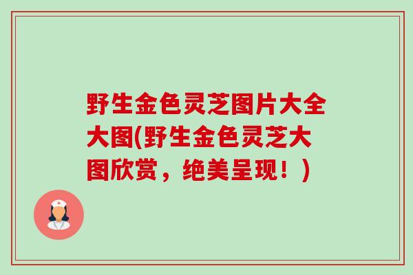 野生金色灵芝图片大全大图(野生金色灵芝大图欣赏,绝美呈现!)-第1张图片-卓越灵芝孢子粉 野生金色灵芝图片大全大图(野生金色灵芝大图欣赏,绝美呈现!)-第1张图片-卓越灵芝孢子粉