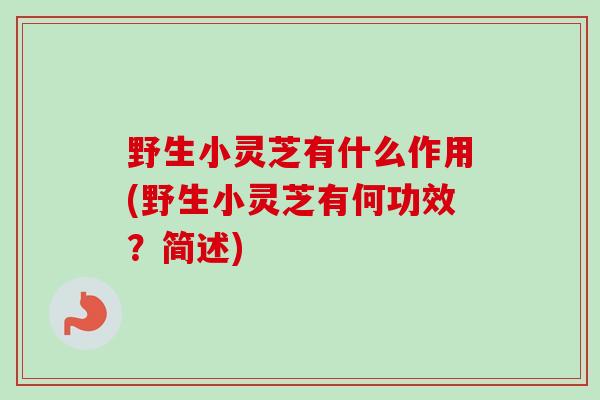野生小灵芝有什么作用(野生小灵芝有何功效?简述)-第1张图片-卓越灵芝孢子粉 野生小灵芝有什么作用(野生小灵芝有何功效?简述)-第1张图片-卓越灵芝孢子粉