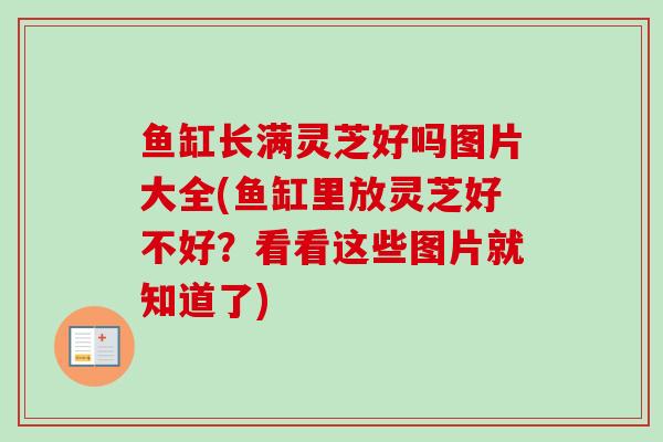 鱼缸长满灵芝好吗图片大全(鱼缸里放灵芝好不好?看看这些图片就知道了)-第1张图片-卓越灵芝孢子粉 鱼缸长满灵芝好吗图片大全(鱼缸里放灵芝好不好?看看这些图片就知道了)-第1张图片-卓越灵芝孢子粉