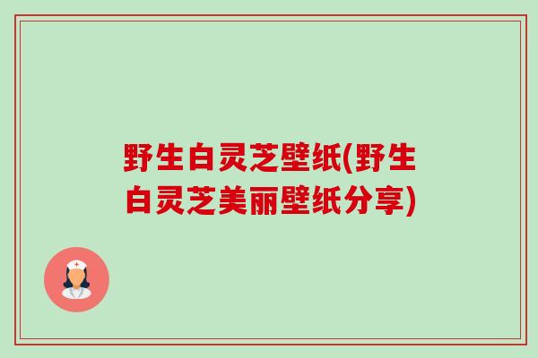 野生白灵芝壁纸(野生白灵芝美丽壁纸分享)-第1张图片-卓越灵芝孢子粉 野生白灵芝壁纸(野生白灵芝美丽壁纸分享)-第1张图片-卓越灵芝孢子粉