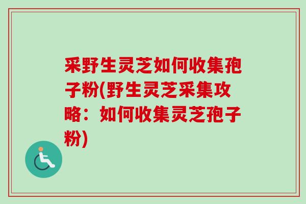 采野生灵芝如何收集孢子粉(野生灵芝采集攻略:如何收集灵芝孢子粉)-第1张图片-卓越灵芝孢子粉 采野生灵芝如何收集孢子粉(野生灵芝采集攻略:如何收集灵芝孢子粉)-第1张图片-卓越灵芝孢子粉