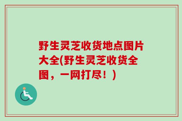 野生灵芝收货地点图片大全(野生灵芝收货全图,一网打尽!)-第1张图片-卓越灵芝孢子粉 野生灵芝收货地点图片大全(野生灵芝收货全图,一网打尽!)-第1张图片-卓越灵芝孢子粉
