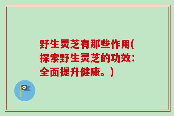 野生灵芝有那些作用(探索野生灵芝的功效:全面提升健康。)-第1张图片-卓越灵芝孢子粉 野生灵芝有那些作用(探索野生灵芝的功效:全面提升健康。)-第1张图片-卓越灵芝孢子粉