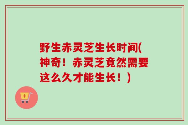 野生赤灵芝生长时间(神奇！赤灵芝竟然需要这么久才能生长！)-第1张图片-卓越灵芝孢子粉
