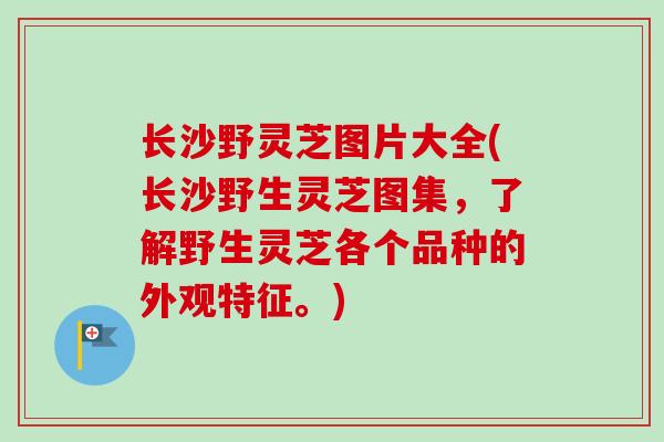 长沙野灵芝图片大全(长沙野生灵芝图集,了解野生灵芝各个品种的外观特征。)-第1张图片-卓越灵芝孢子粉 长沙野灵芝图片大全(长沙野生灵芝图集,了解野生灵芝各个品种的外观特征。)-第1张图片-卓越灵芝孢子粉