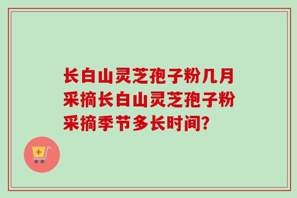 长白山灵芝孢子粉几月采摘长白山灵芝孢子粉采摘季节多长时间？-第1张图片-卓越灵芝孢子粉