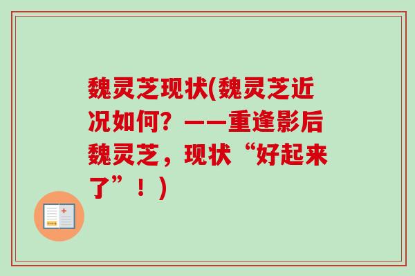 魏灵芝现状(魏灵芝近况如何?——重逢影后魏灵芝,现状“好起来了”!)-第1张图片-卓越灵芝孢子粉 魏灵芝现状(魏灵芝近况如何?——重逢影后魏灵芝,现状“好起来了”!)-第1张图片-卓越灵芝孢子粉