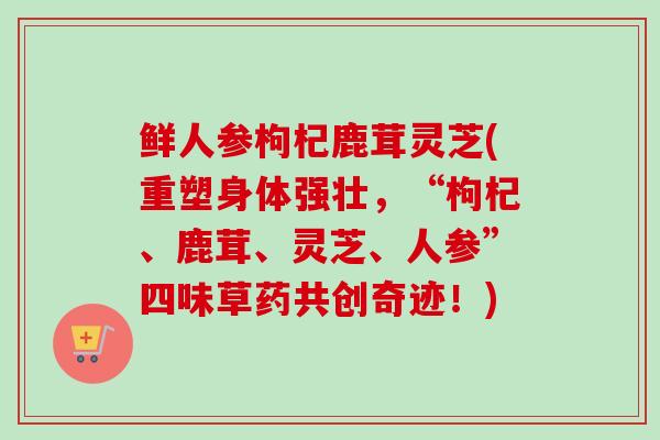 鲜人参枸杞鹿茸灵芝(重塑身体强壮，“枸杞、鹿茸、灵芝、人参”四味草药共创奇迹！)-第1张图片-卓越灵芝孢子粉