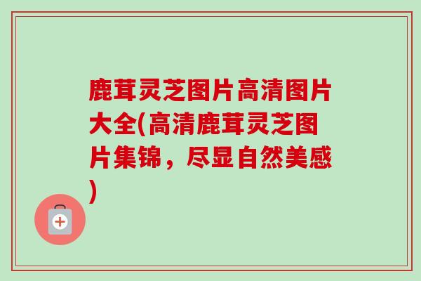 鹿茸灵芝图片高清图片大全(高清鹿茸灵芝图片集锦，尽显自然美感)-第1张图片-卓越灵芝孢子粉