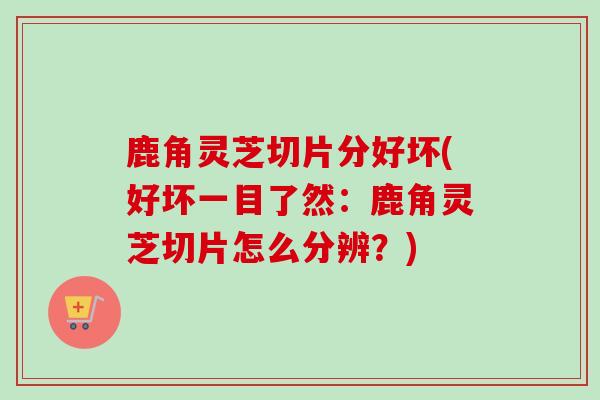 鹿角灵芝切片分好坏(好坏一目了然：鹿角灵芝切片怎么分辨？)-第1张图片-卓越灵芝孢子粉