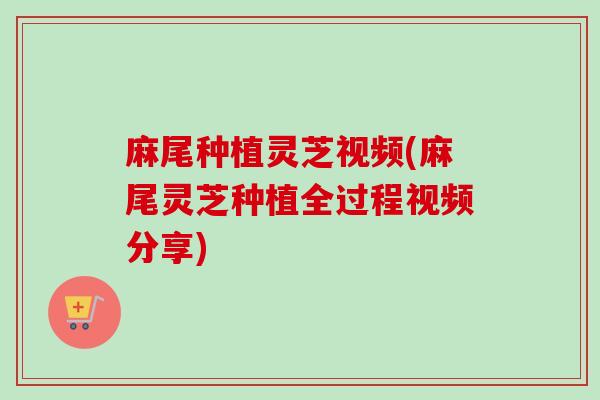 麻尾种植灵芝视频(麻尾灵芝种植全过程视频分享)-第1张图片-卓越灵芝孢子粉