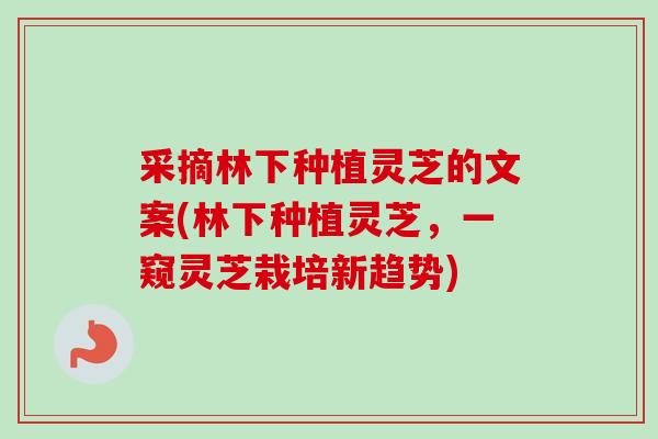 采摘林下种植灵芝的文案(林下种植灵芝,一窥灵芝栽培新趋势)-第1张图片-卓越灵芝孢子粉 采摘林下种植灵芝的文案(林下种植灵芝,一窥灵芝栽培新趋势)-第1张图片-卓越灵芝孢子粉