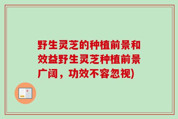 野生灵芝的种植前景和效益野生灵芝种植前景广阔,功效不容忽视)-第1张图片-卓越灵芝孢子粉 野生灵芝的种植前景和效益野生灵芝种植前景广阔,功效不容忽视)-第1张图片-卓越灵芝孢子粉